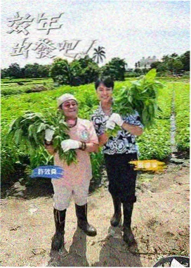 访谈节目海报